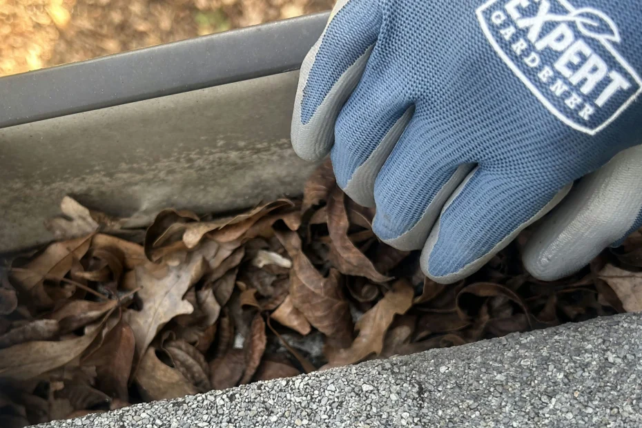 Gutter Cleaning Pine Hills