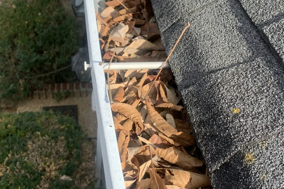 Gutter Cleaning Pine Hills