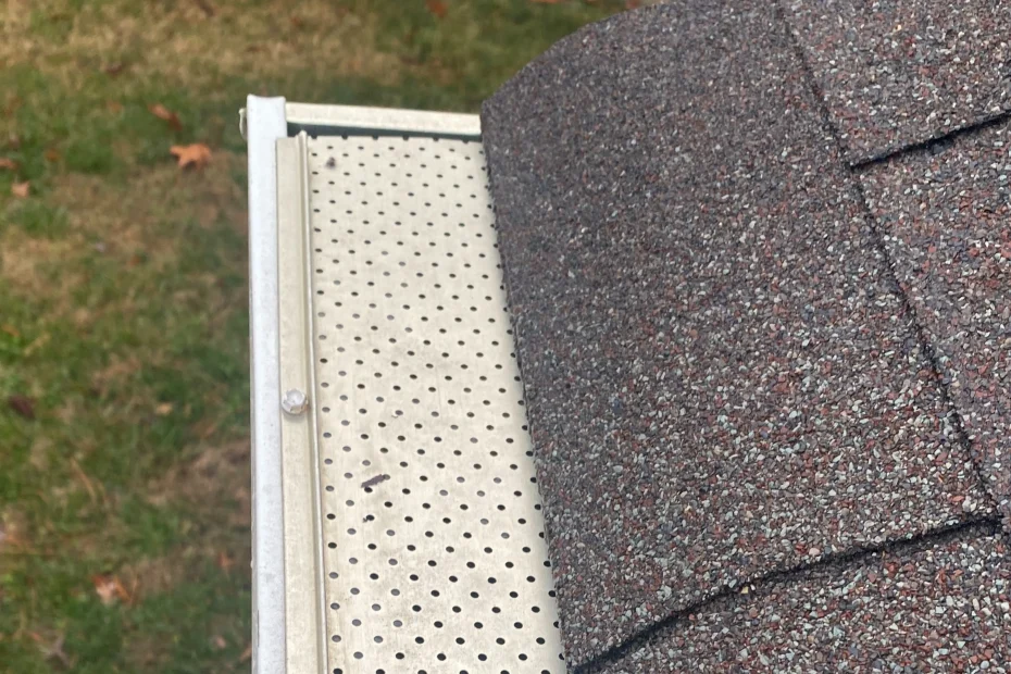 Gutter Cleaning Pine Hills