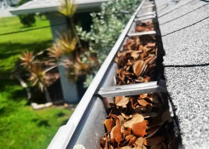 Gutter Cleaning Pine Hills home page